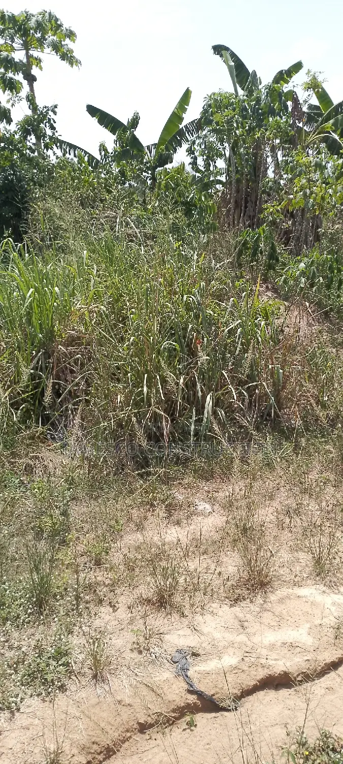 Residential Plot of Land for Sale Value Available in Ayensuano