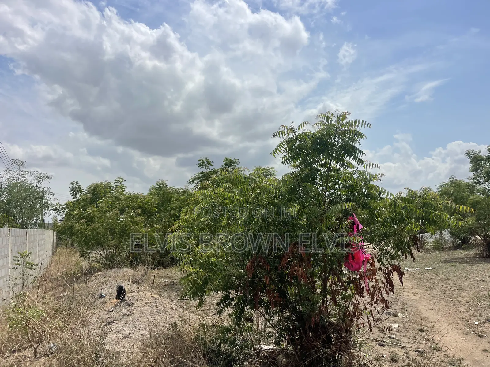 Do You Want to Live at West Trasacco in Future Call 4 Land in Adjiriganor