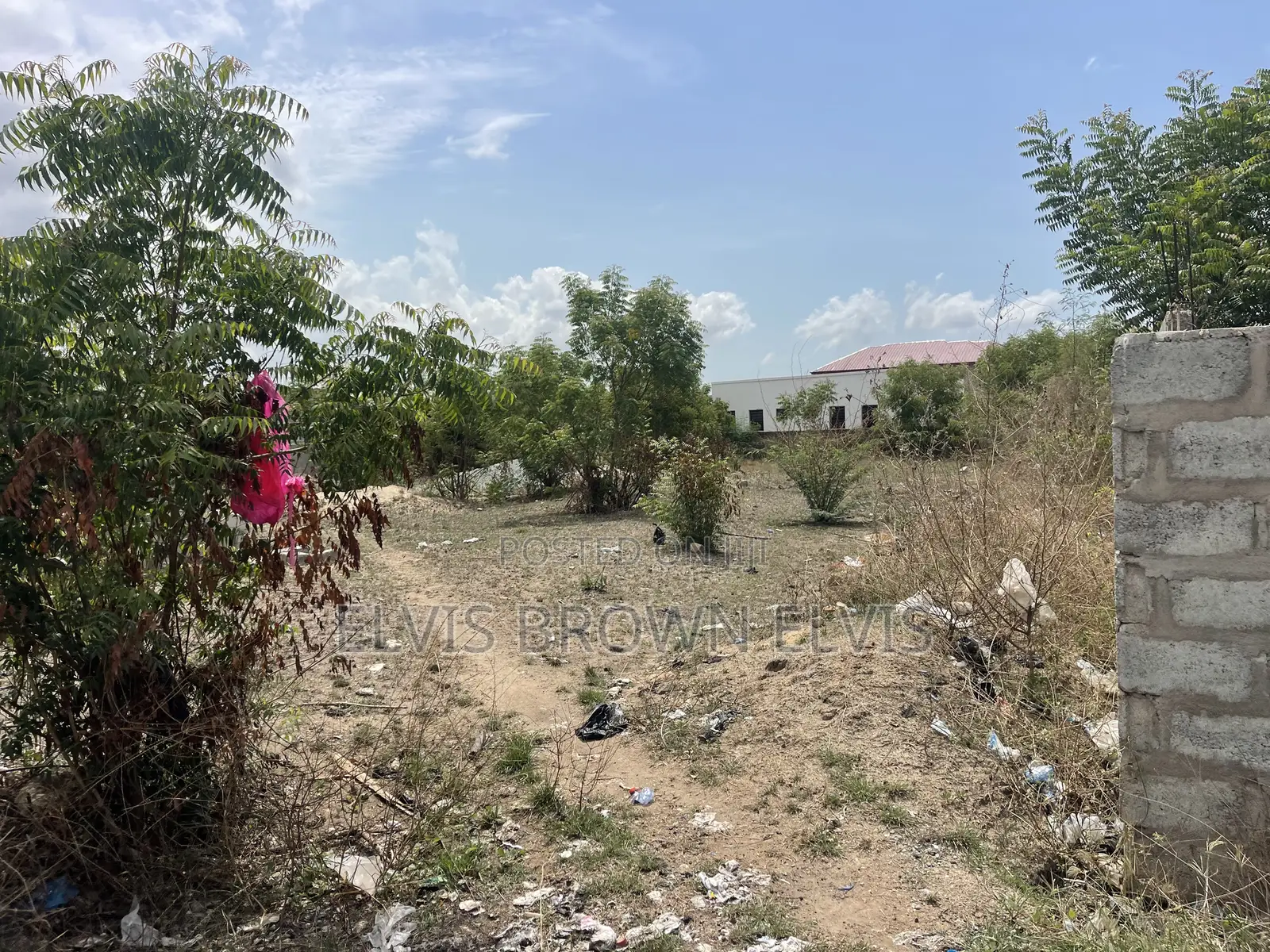 Do You Want to Live at West Trasacco in Future Call 4 Land in Adjiriganor