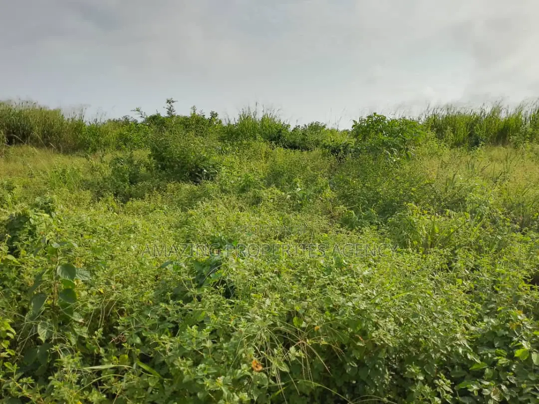 A Land for Sale at Bortianor Hills  Land Size: 15 Plots in Accra Metropolitan