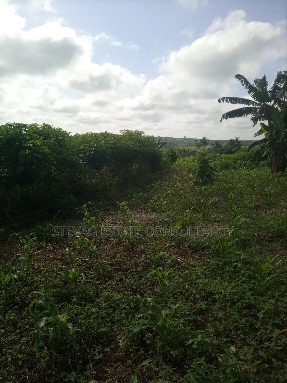 Alpha Land for Sale at Gomoa Buduatta in Awutu Senya East Municipal