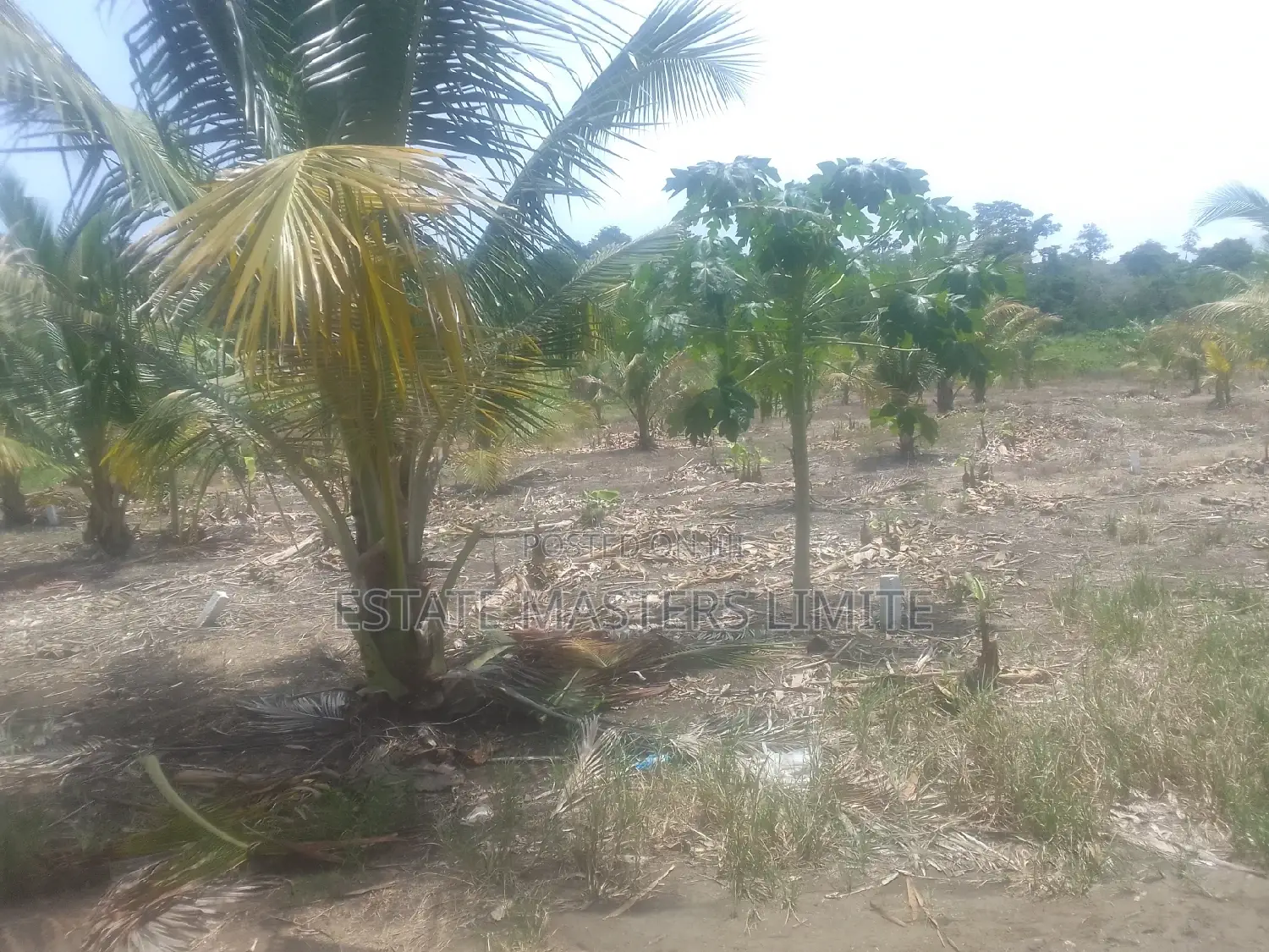 Fully Titled Value Land at Potsin Off the Winneba Road in Gomoa East