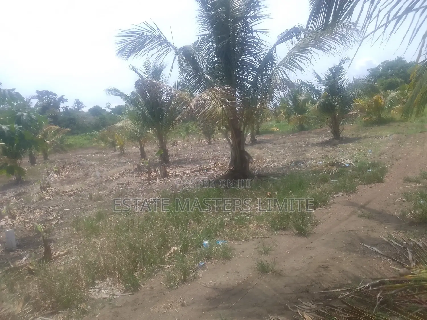 Fully Titled Value Land at Potsin Off the Winneba Road in Gomoa East