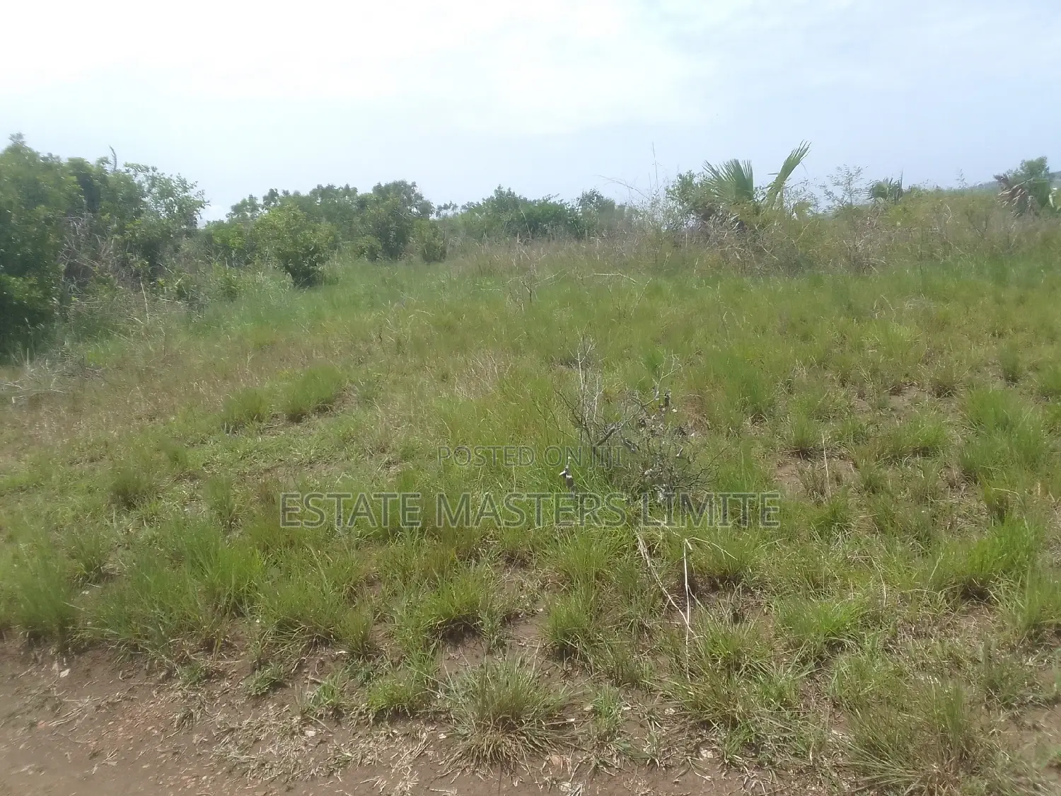 Stress Free Plot for Sale at Potsin Off Accra Winneba Road in Gomoa East