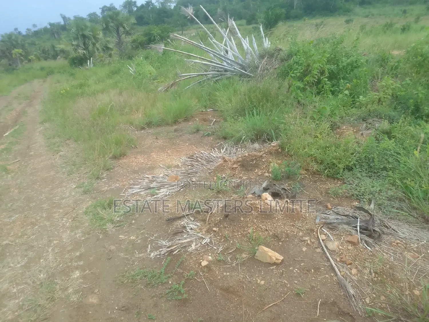 Serviced One and Half Plot at Tsopoli in Tema Metropolitan