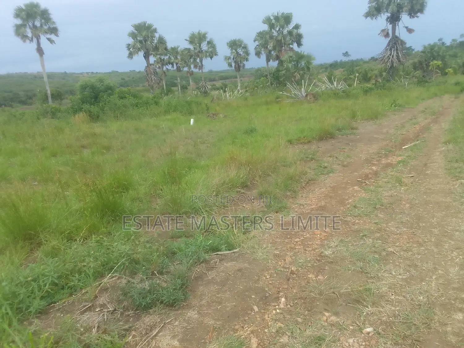 Genuine and Titled Half Plot of Land for Sale at Potsin in Tema Metropolitan