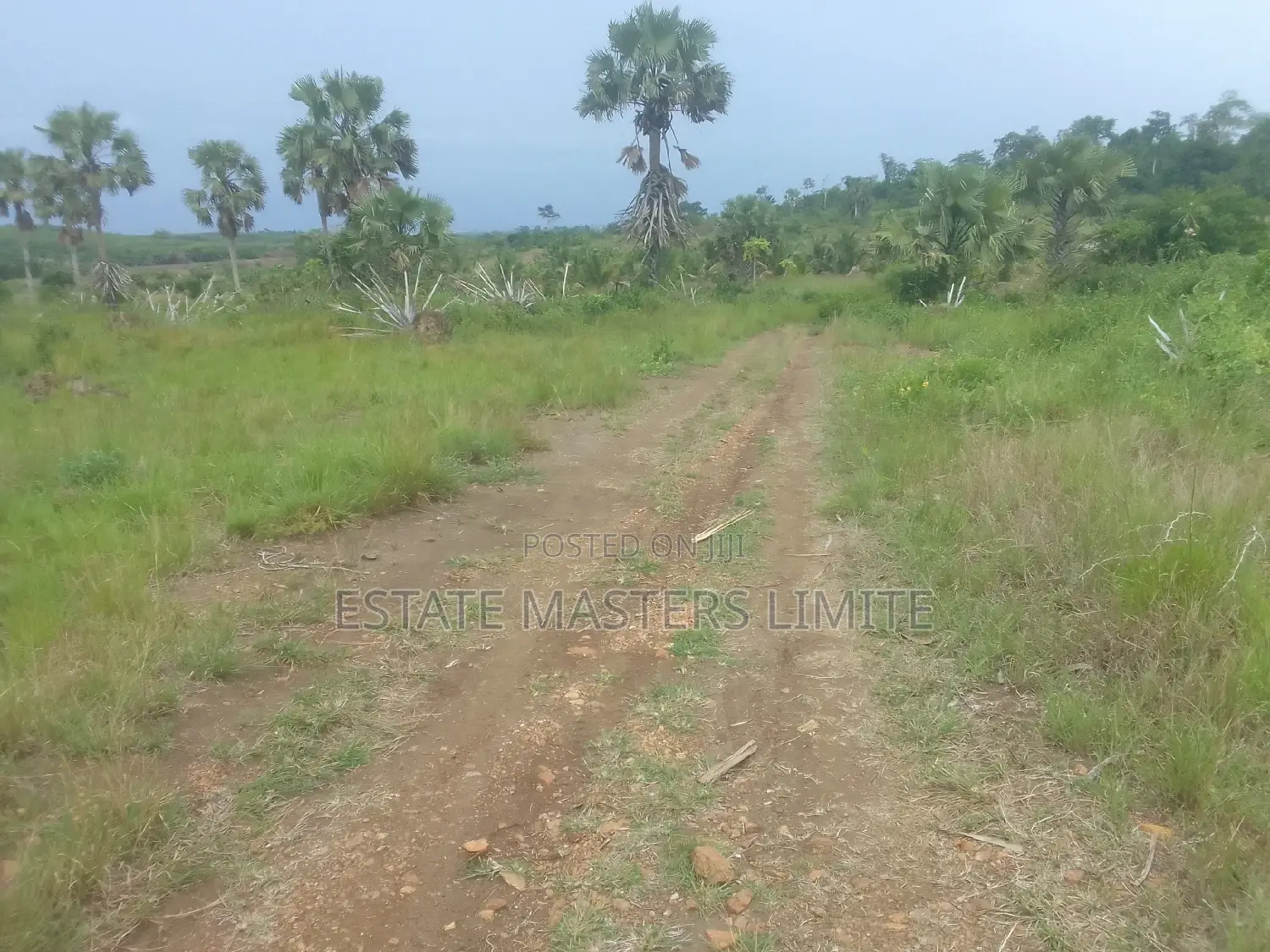 Genuine and Titled Half Plot of Land for Sale at Potsin in Tema Metropolitan