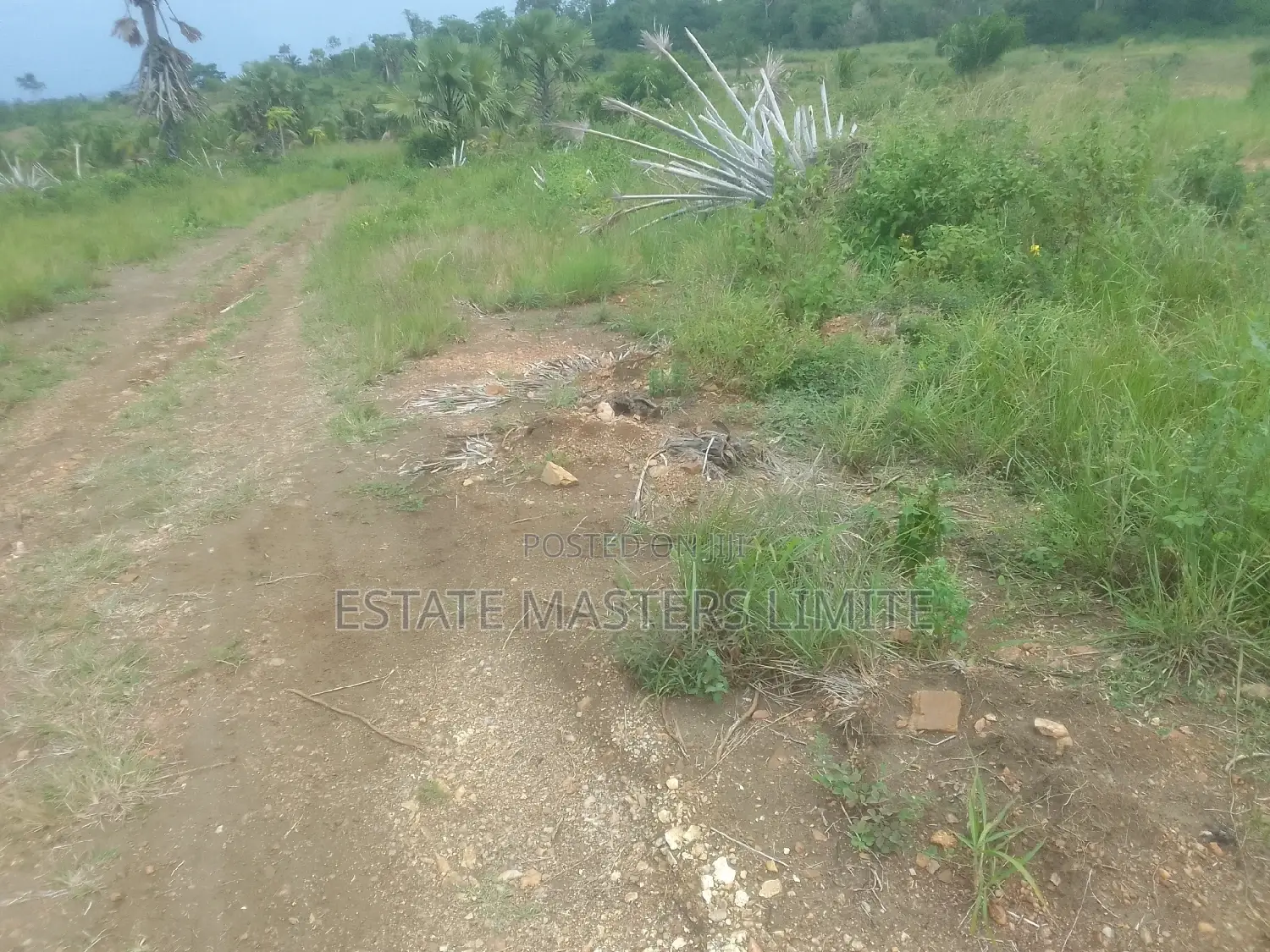 Registered Full Plot of Land for Sale at Prampram in Tema Metropolitan