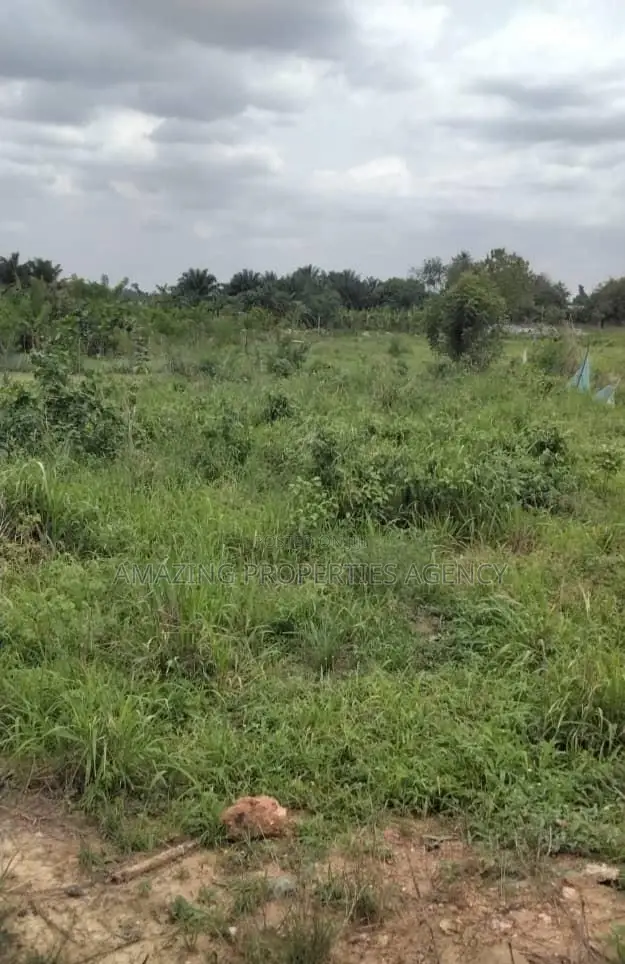 110 X120 Ft Plot of Land for Sale at Roman Ridge in Roman Ridge