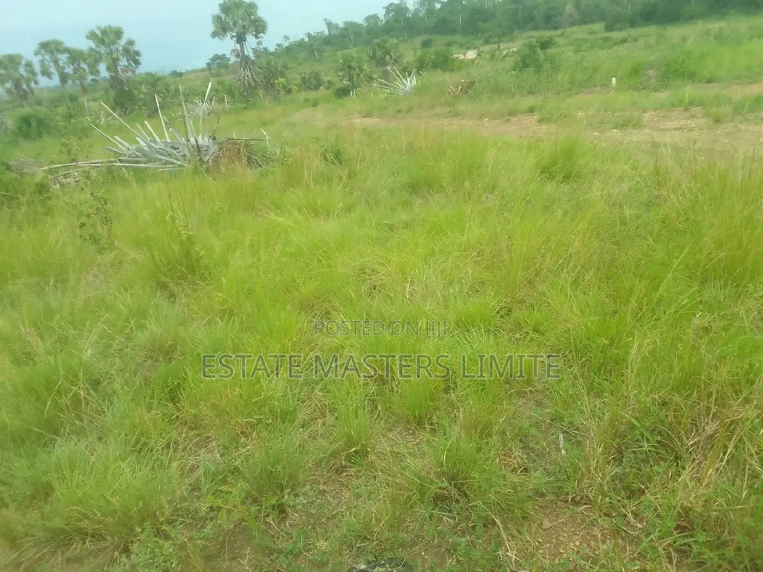 Registered Serviced One and Half Plot at Potsin for Sale in Gomoa East