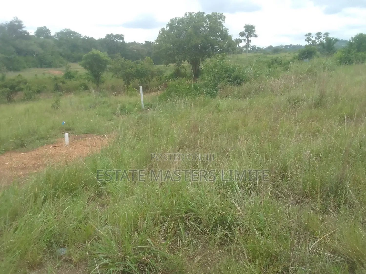 Affordable Value Land at Panfokromoff the Kasoa Winneba Road in Gomoa East