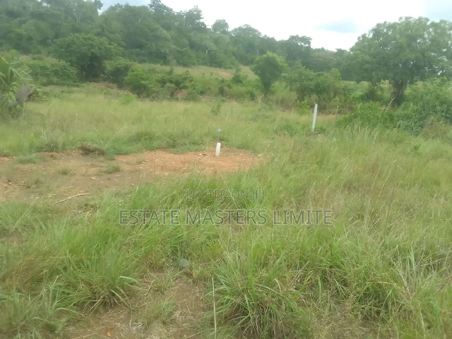 Affordable Value Land at Panfokromoff the Kasoa Winneba Road in Gomoa East