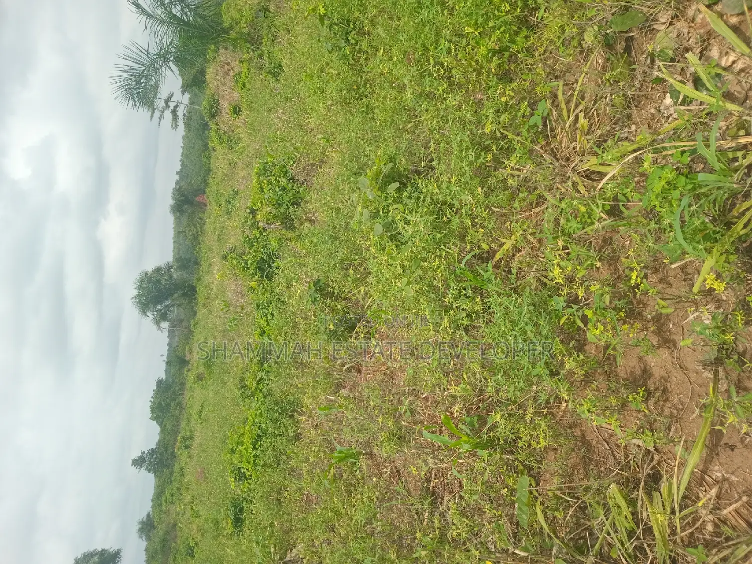 Farm Land for Sale in Sunyani Municipal