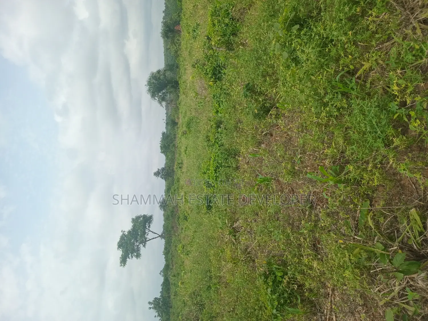 Farm Land for Sale in Sunyani Municipal