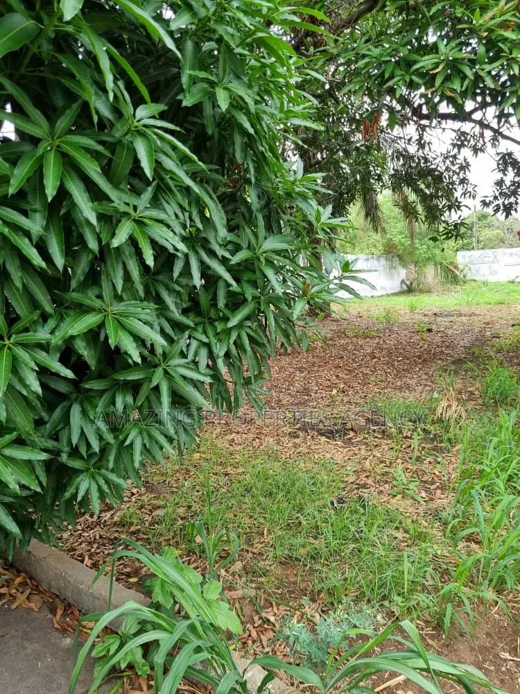 2 Plots of Land for Sale at Spintex Coca Cola in Spintex