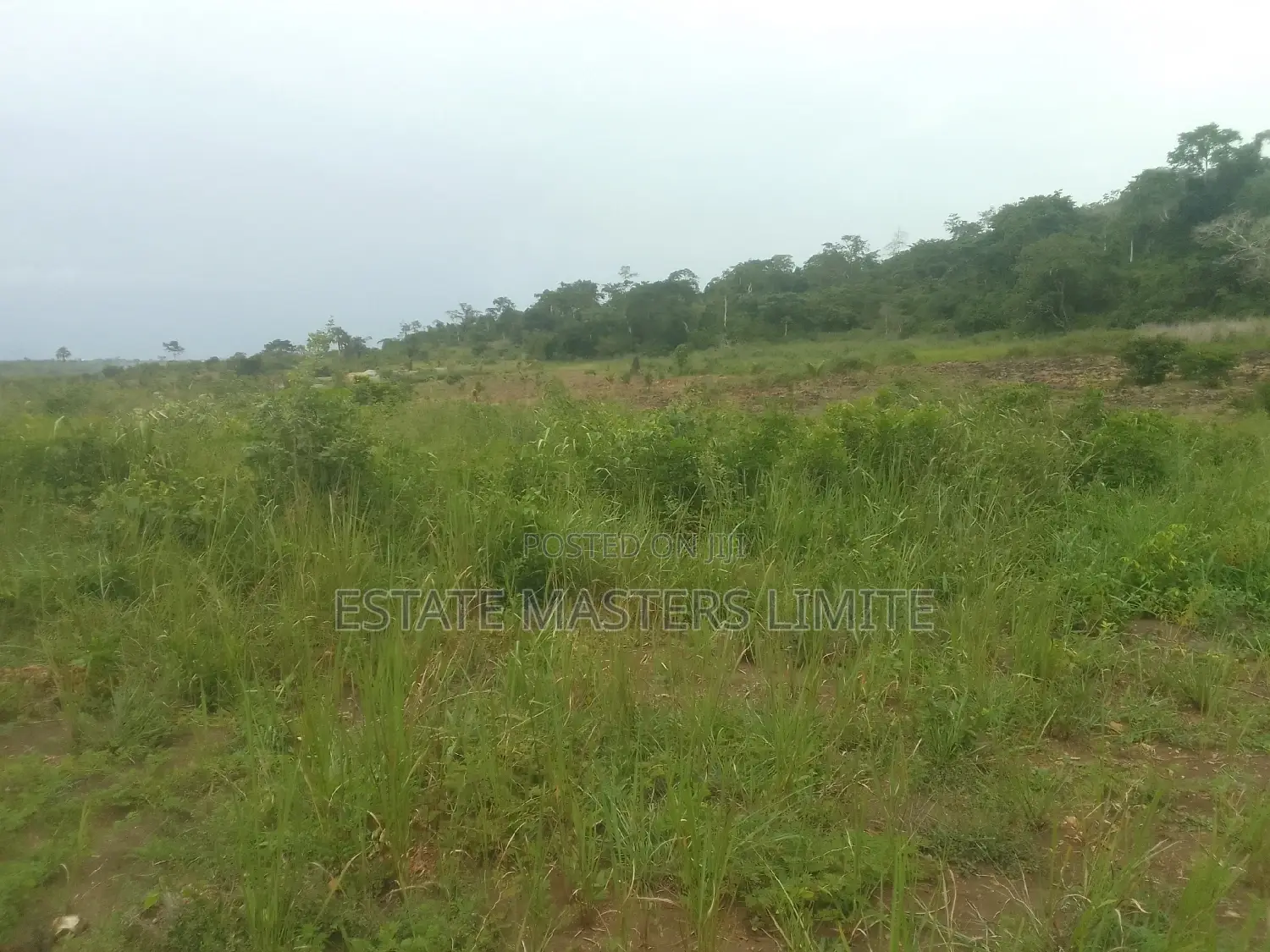 Registered Plot of Land at Prampram for Sale. in Prampram