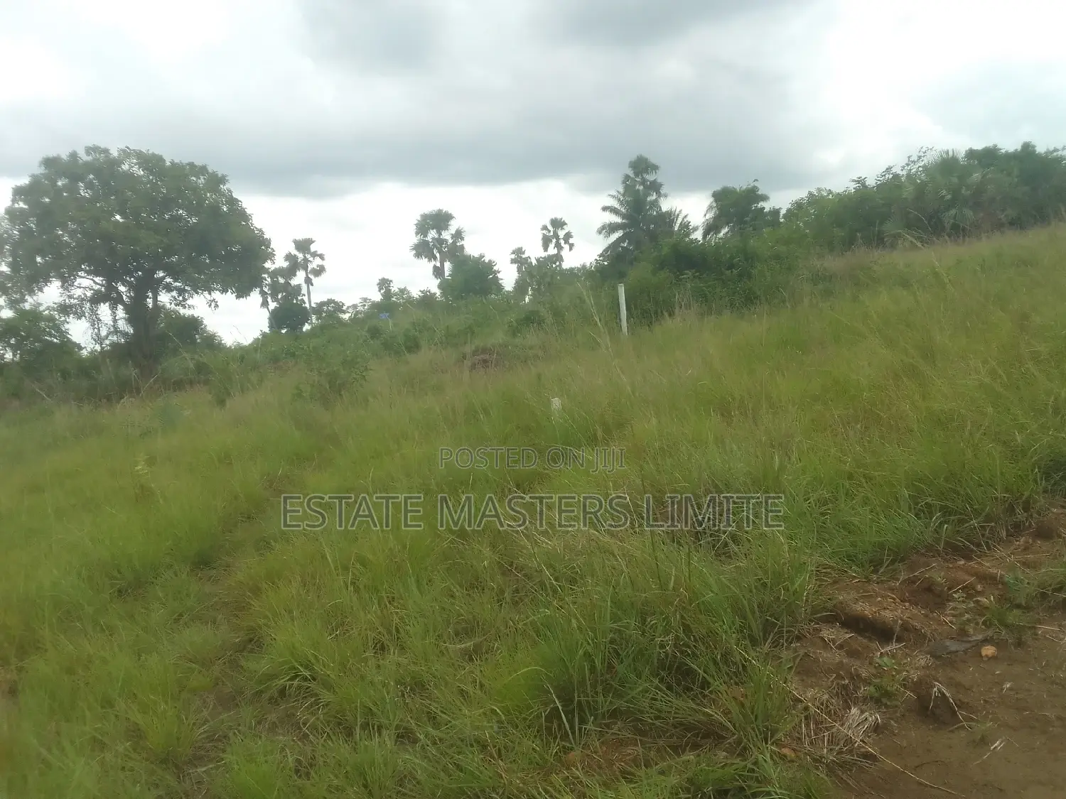 100×100 Plot of Land for Sale at Prampram Lakpleku. in Prampram