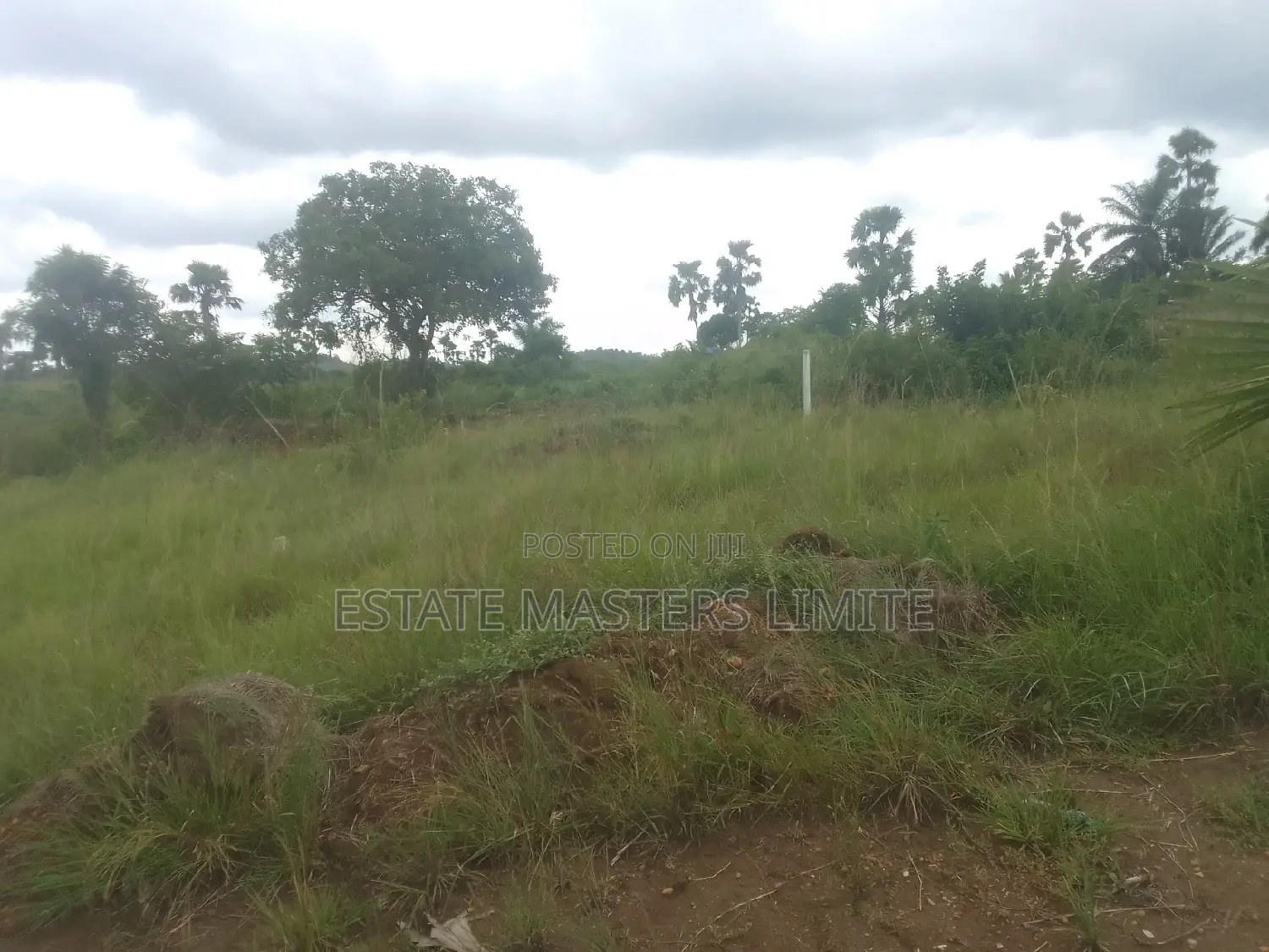 Registered Tsopoli Land for Sale in Tema Metropolitan