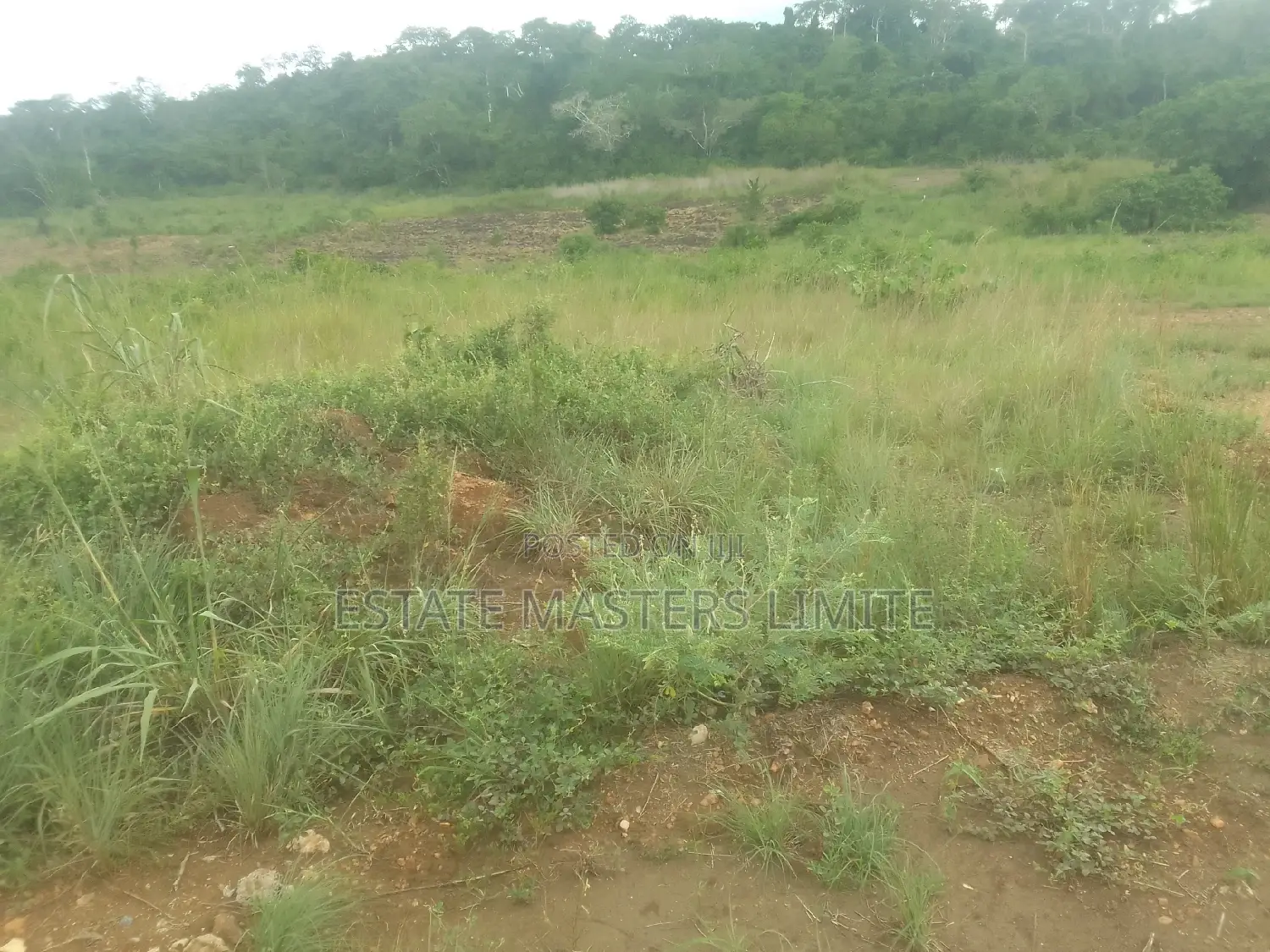 Litigation Free Plot for Sale at Tsopoli in Tema Metropolitan