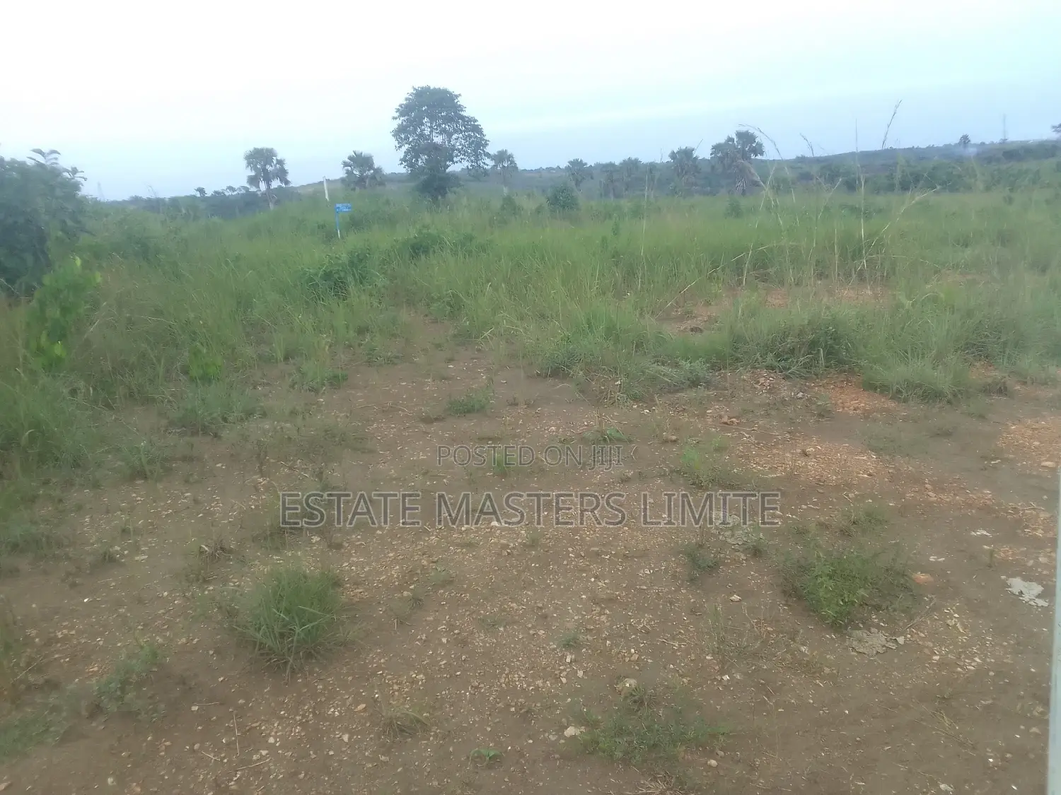 100×100 Genuine and Registered Land at Tsopoli for Sale. in Tema Metropolitan