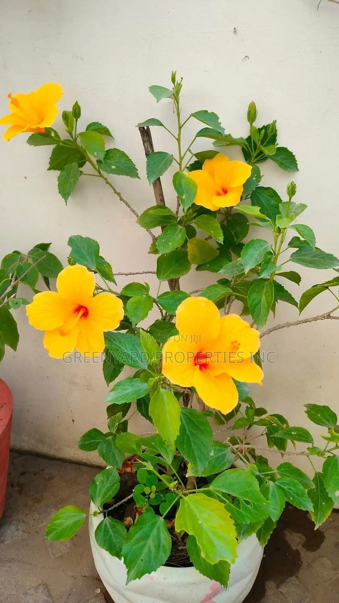3bdrm House in East, Cantonments for rent in Cantonments