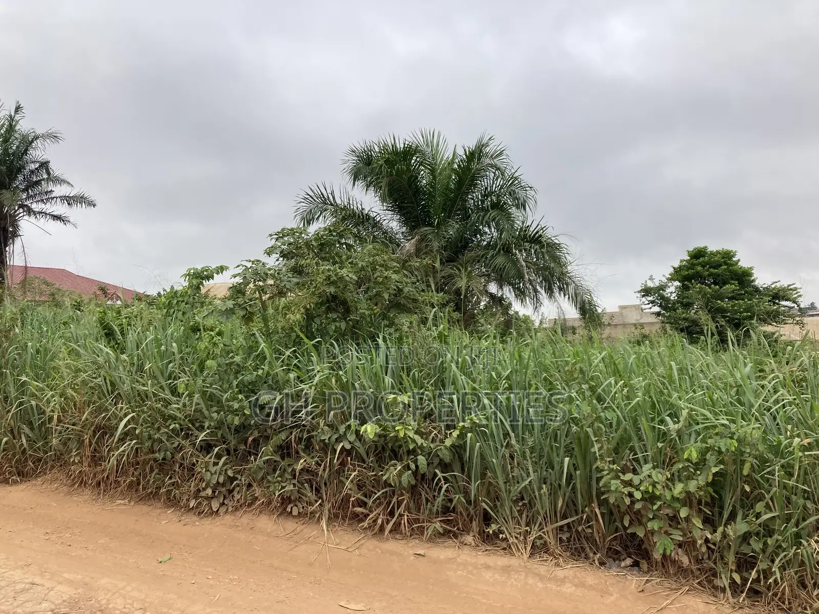 One Full Plot for Sale at Aboabo Where K.Appiah Estate Is. in Kumasi Metropolitan