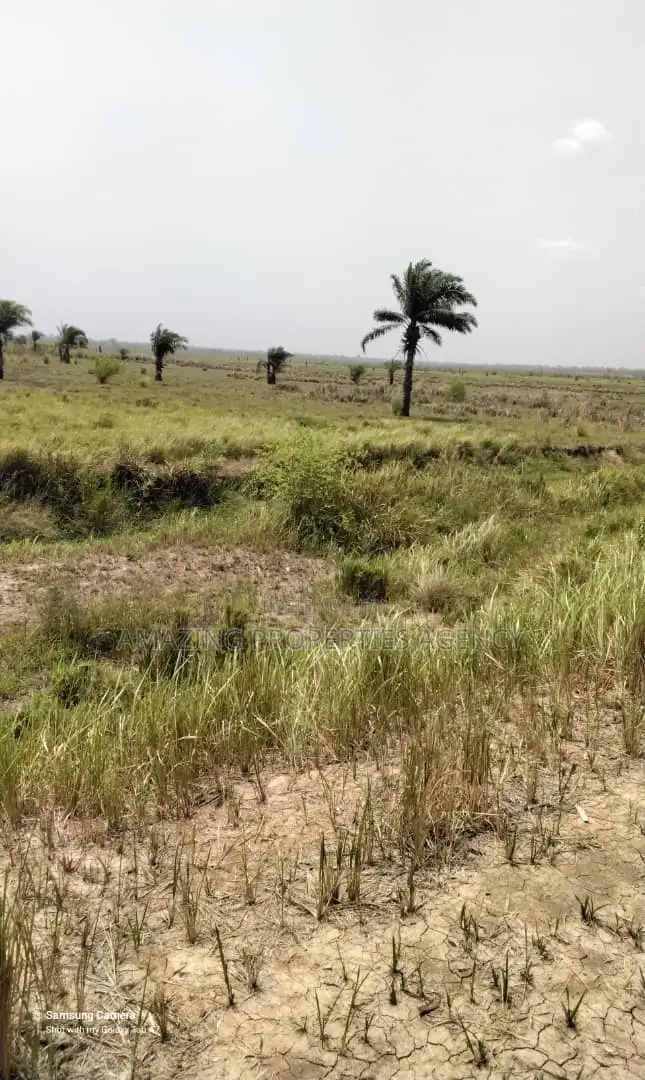 7 Acres of Land at Ada in Dawhenya