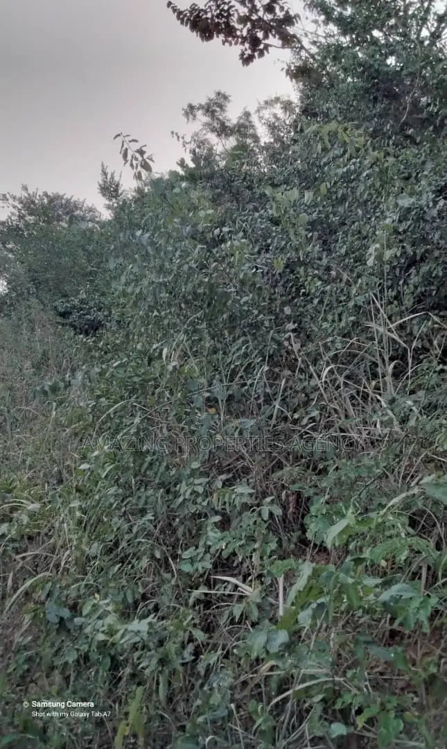7 Acres of Land at Ada in Dawhenya