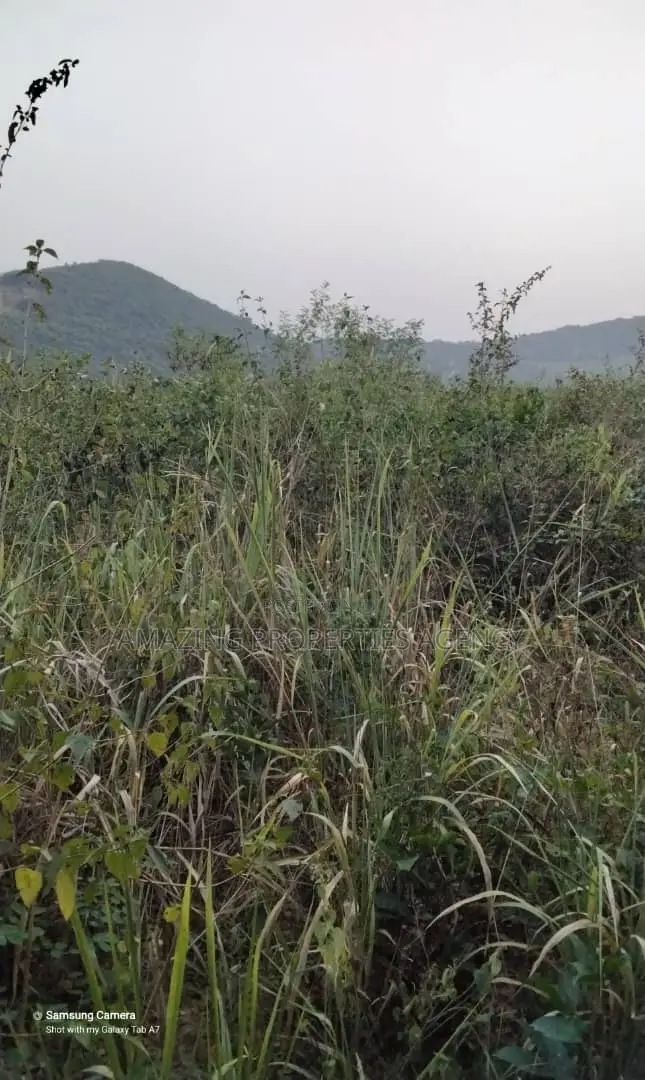 12 Acres of Land at Ayi Mensah in Aburi