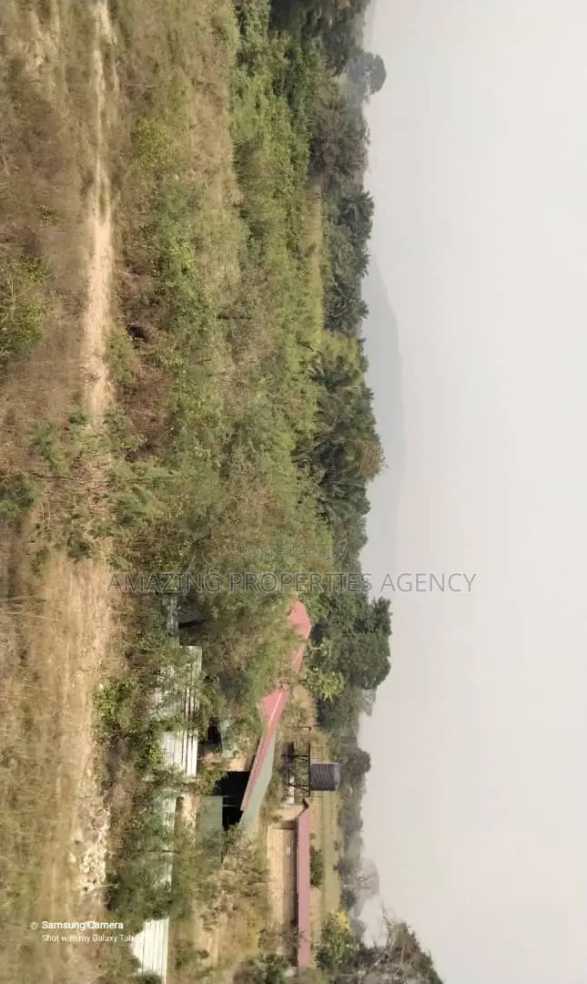 12 Acres of Land at Ayi Mensah in Aburi