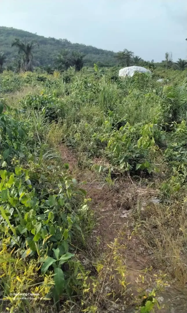 5 Acres of Land at Aburi in Aburi