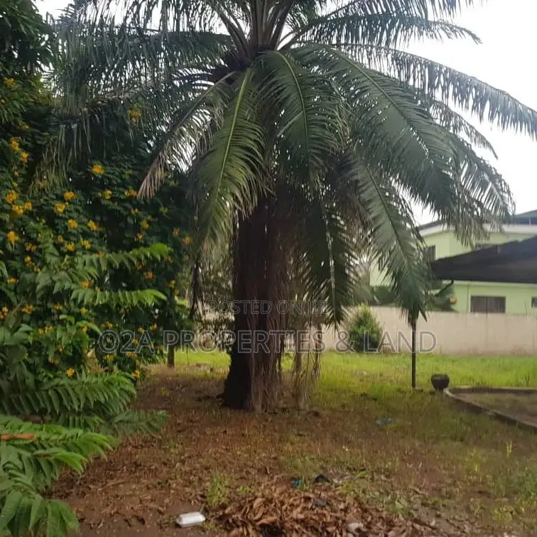 6bdrm House in Airport Residential for sale in Airport Residential Area