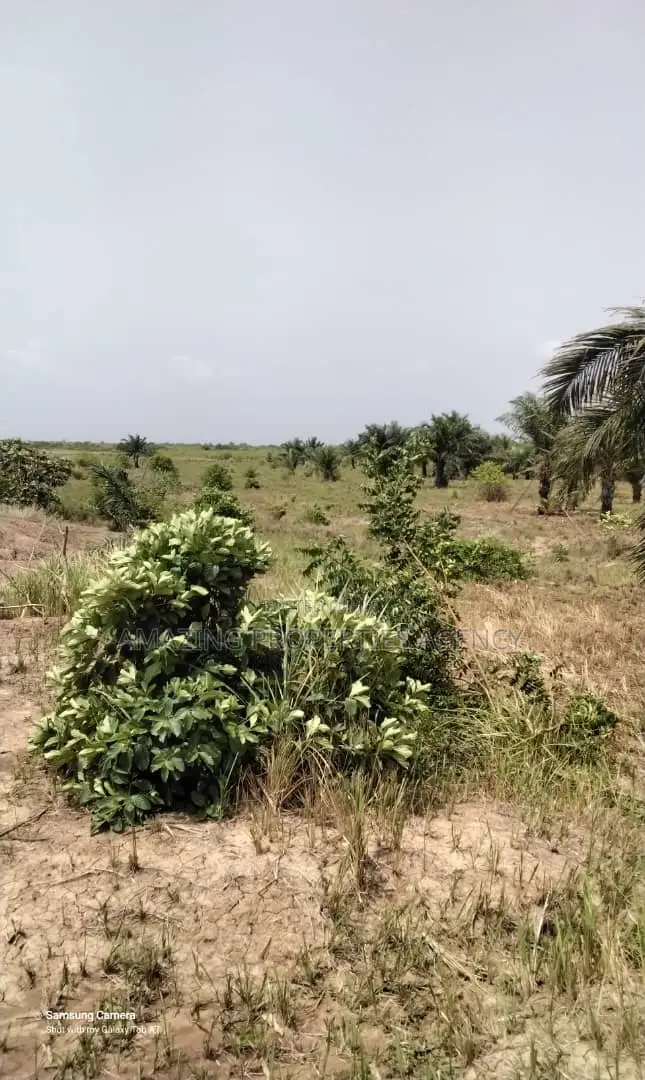 20 Acres Beachfront Land at Sakumono in Sakumono