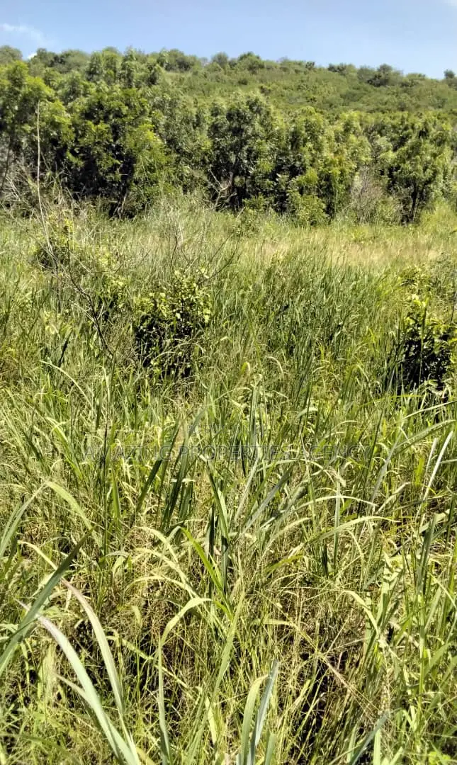 20 Acres Beachfront Land at Sakumono in Sakumono