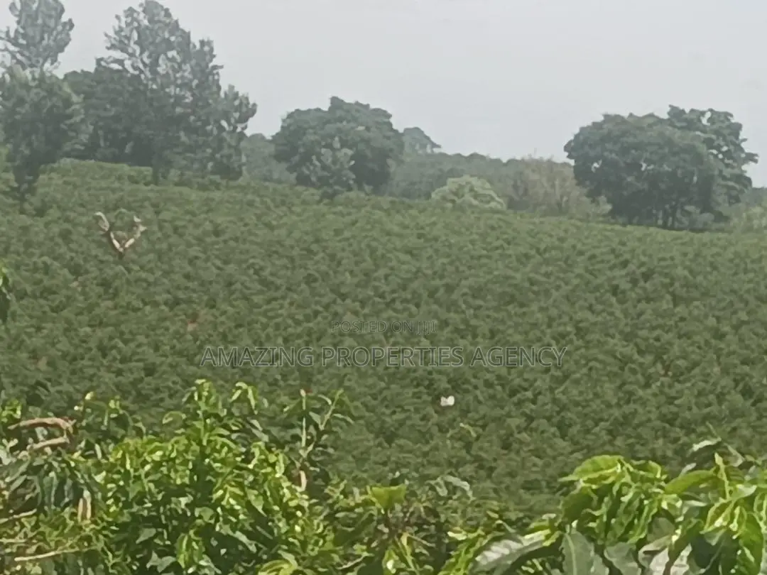 5 Plots of Land at Berekusu in Kwabenya