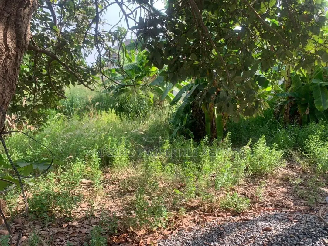 5 Plots of Land at Berekusu in Kwabenya