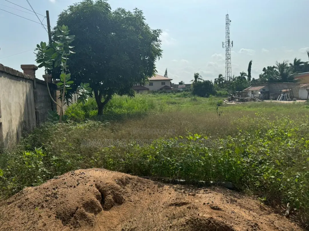 2 Plots of Land at Burma Hills in Tseaddo