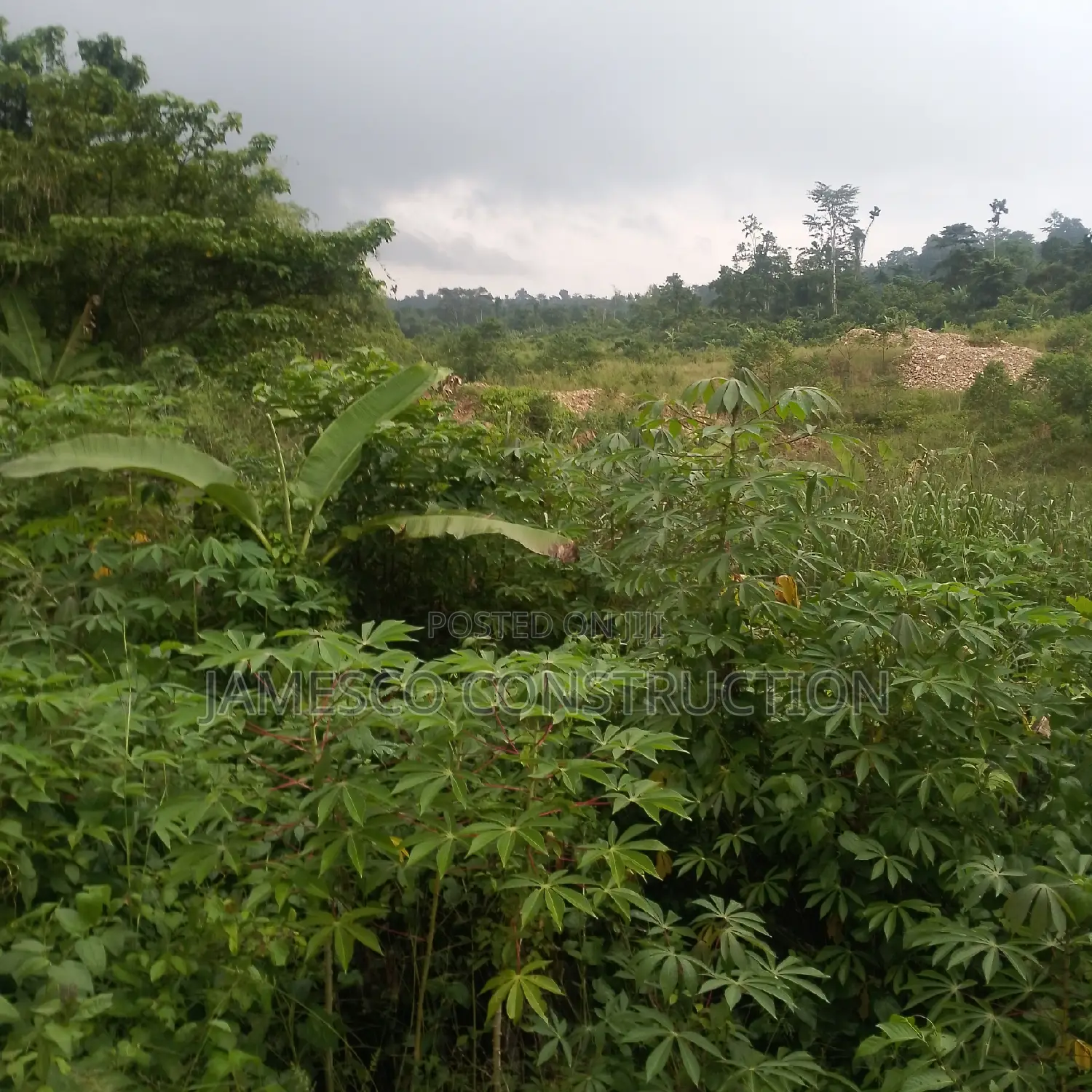 Gold Land for Sale in Ayensuano