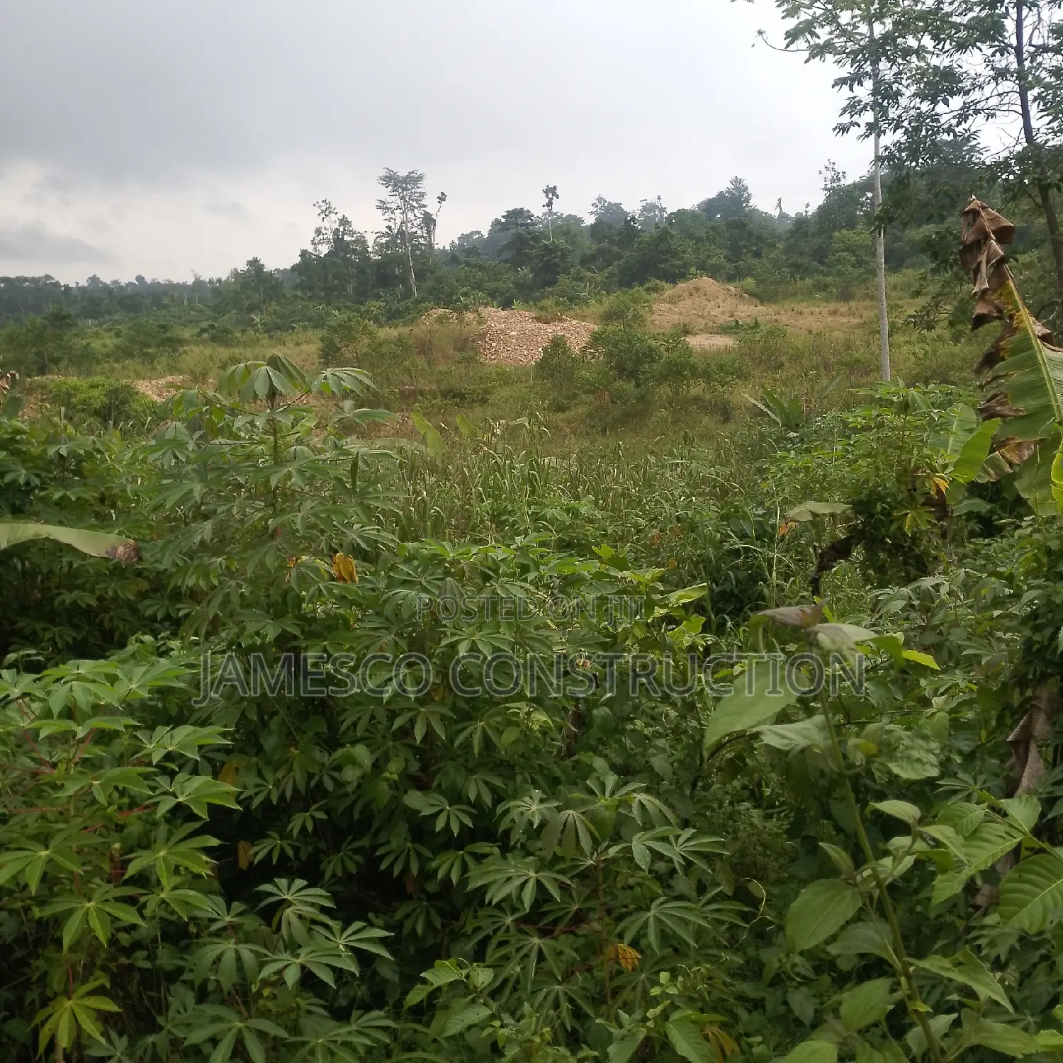 Gold Land for Sale in Ayensuano