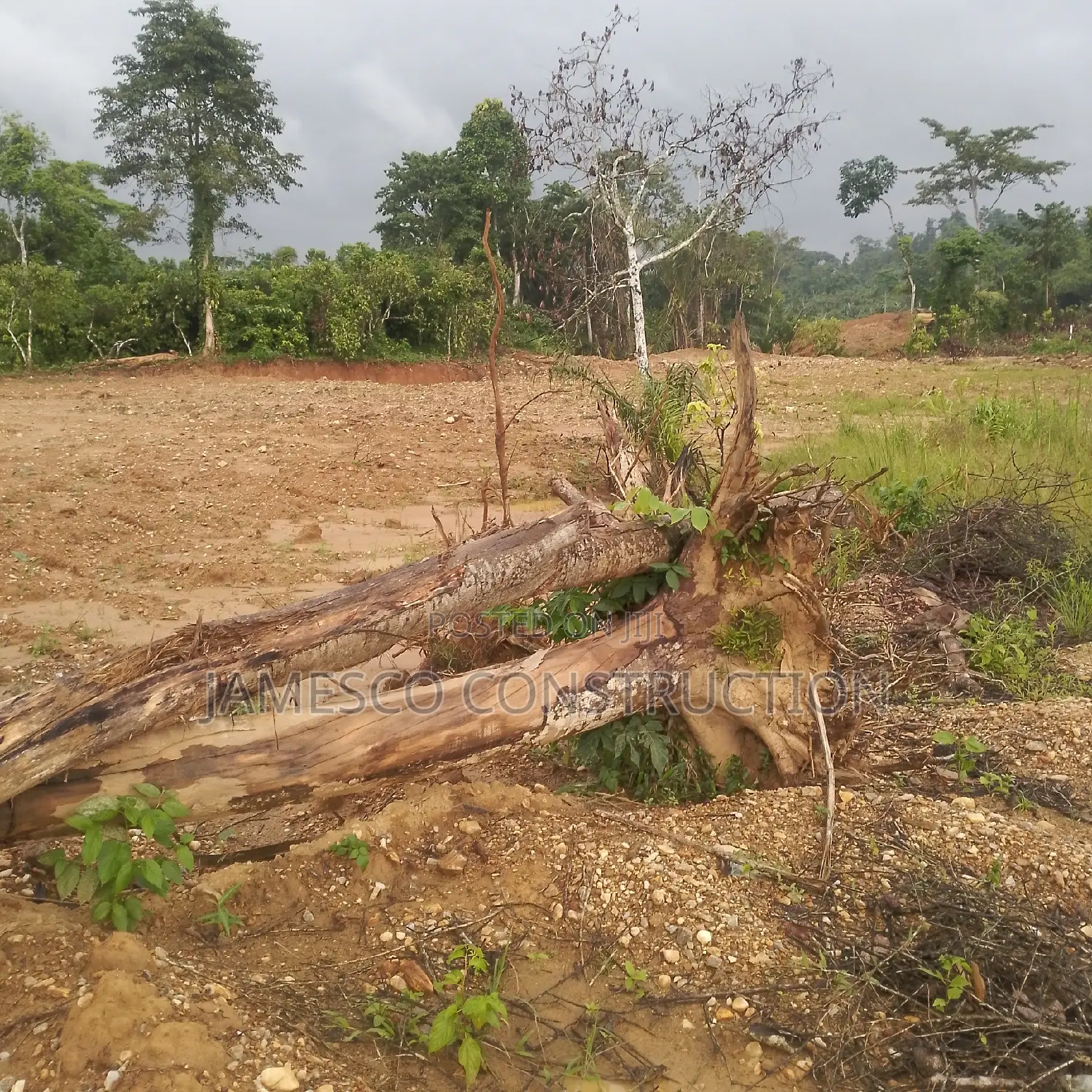 Gold Land for Sale in Ayensuano