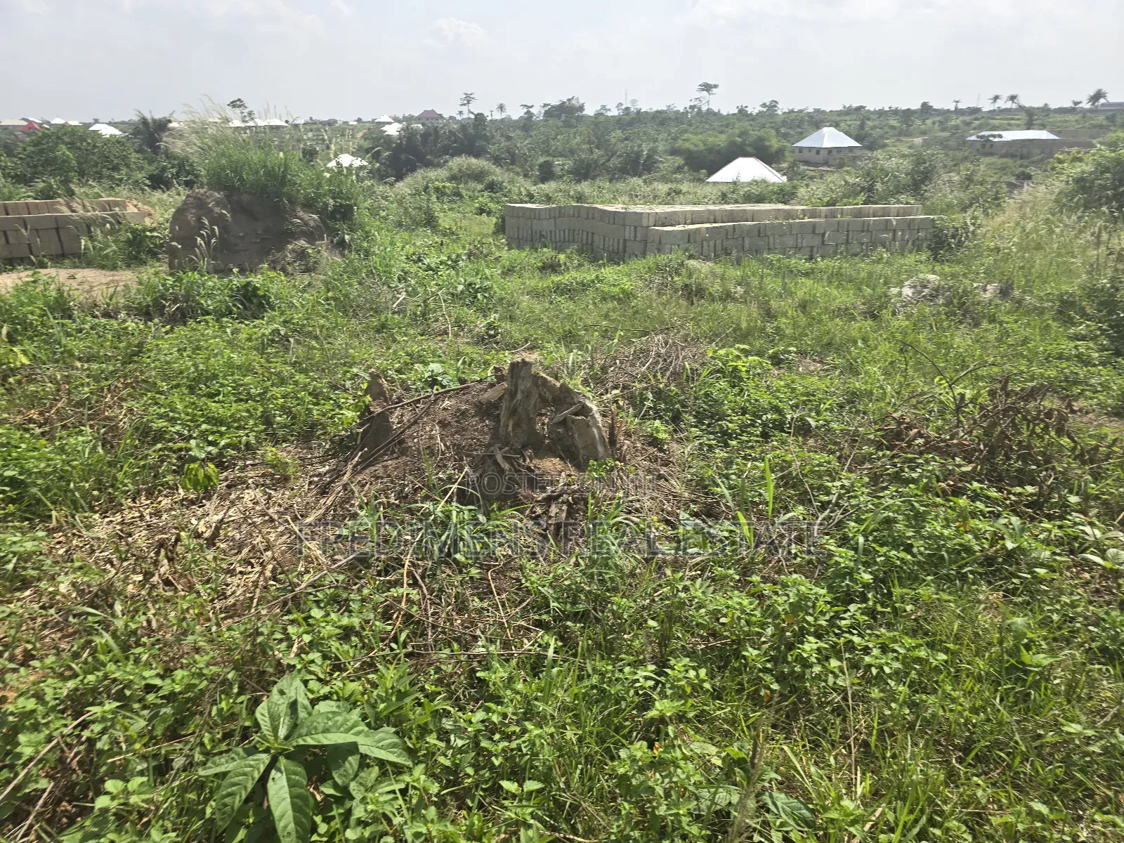 A Land at Antoa-Adesina for Sale in Kumasi Metropolitan