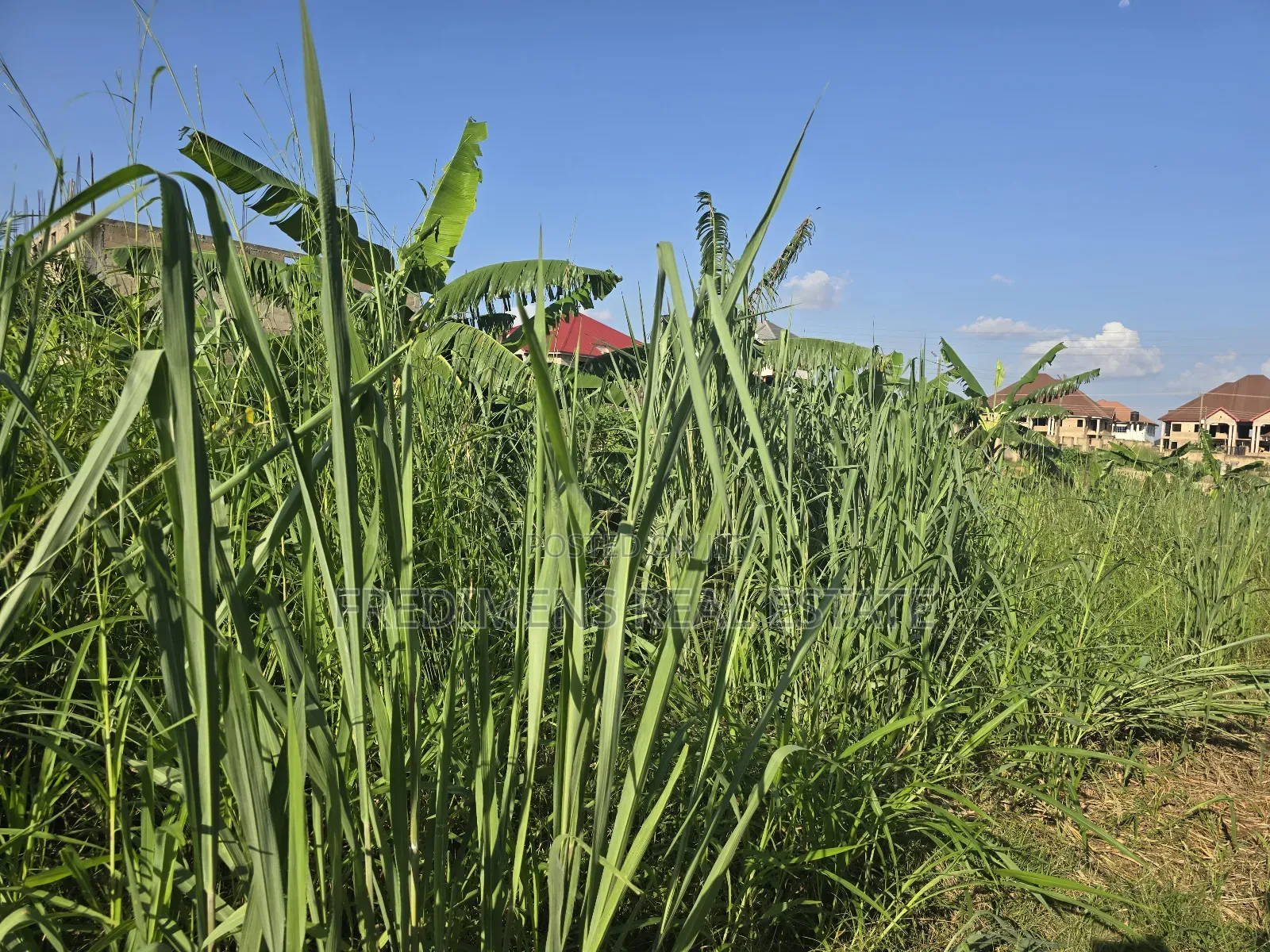 A Land at Kokoben for Sale in Kwabre