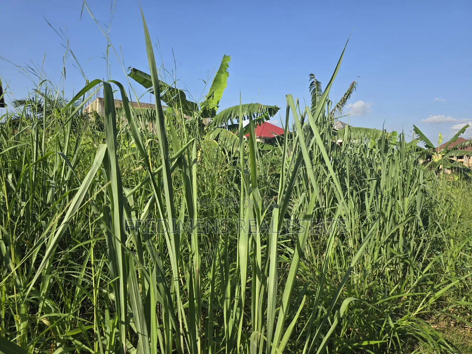 A Land at Kokoben for Sale in Kwabre