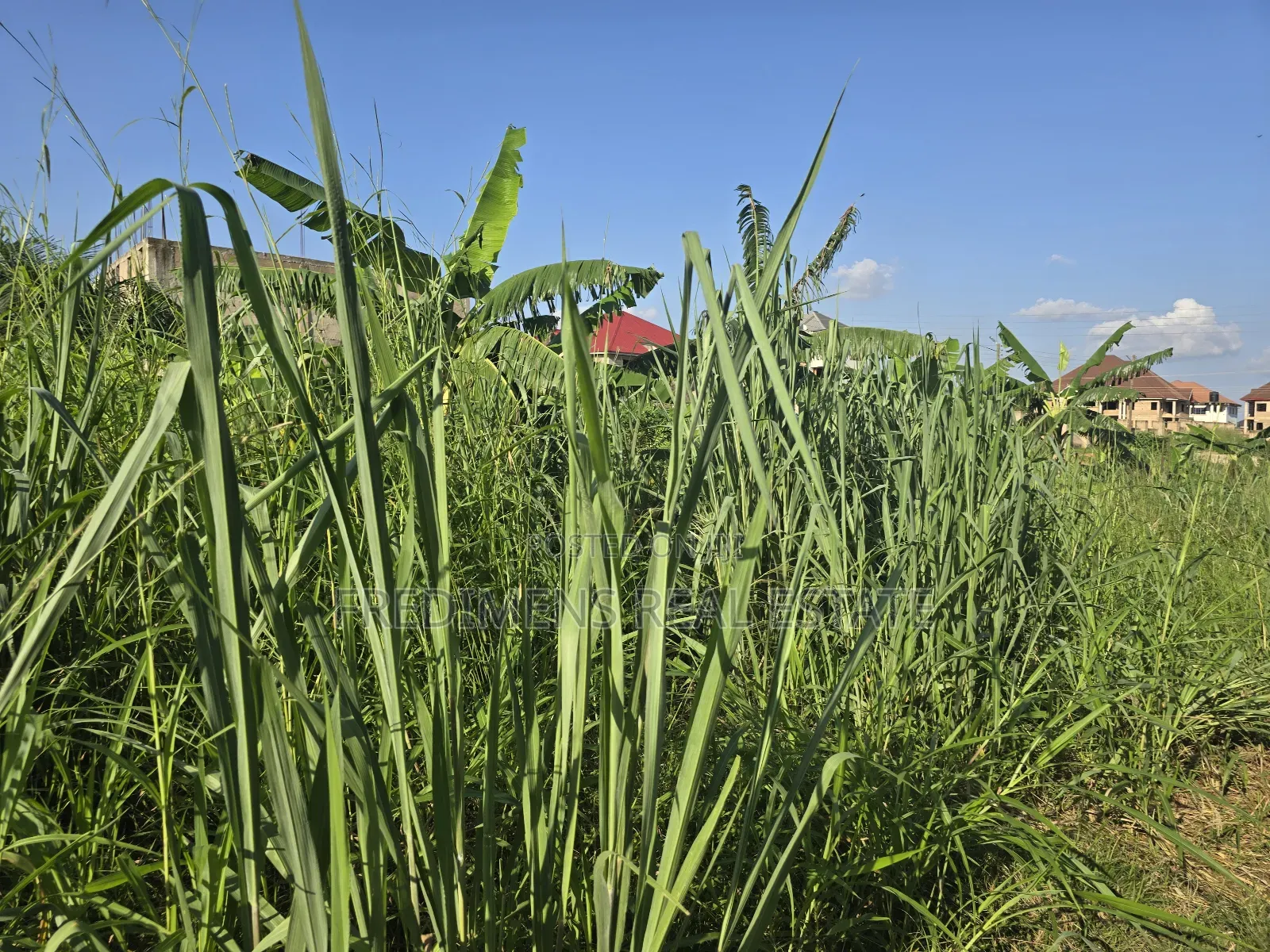 A Land at Kokoben for Sale in Kwabre