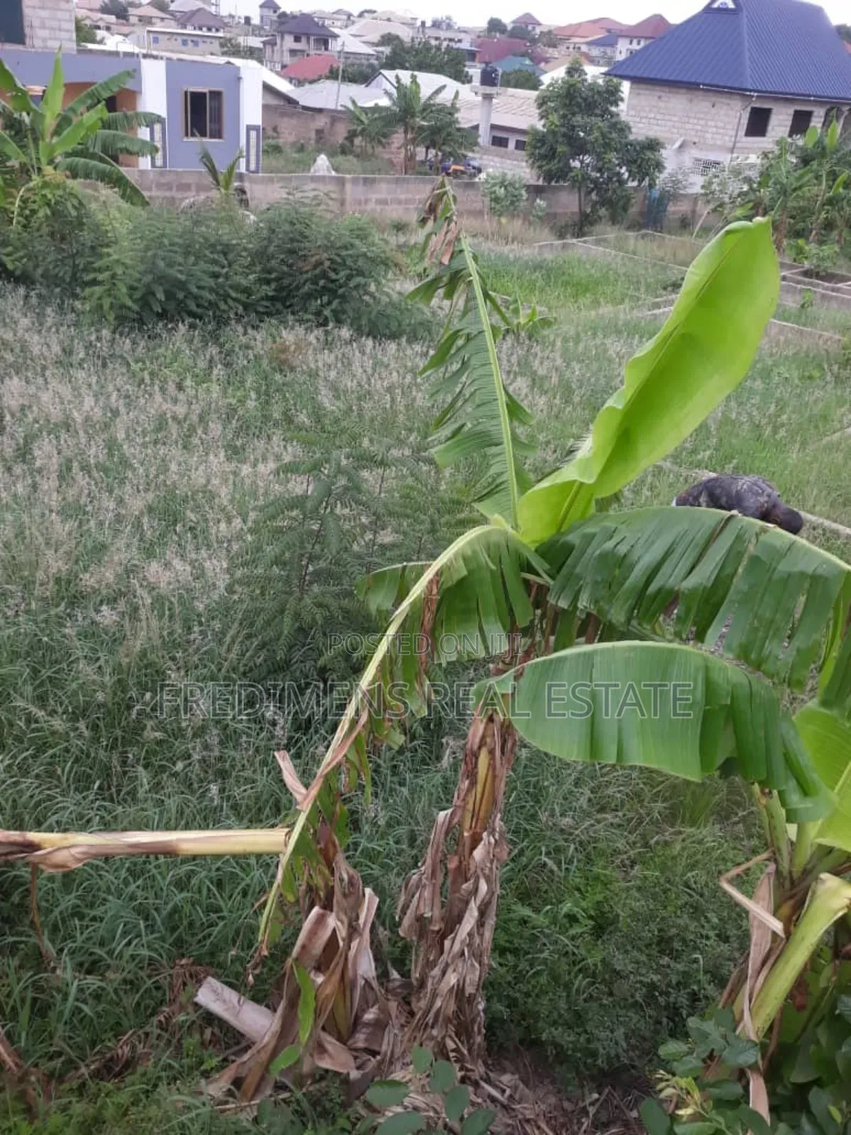 One and Half Icre Plot at Faade for Sale in Kwabre