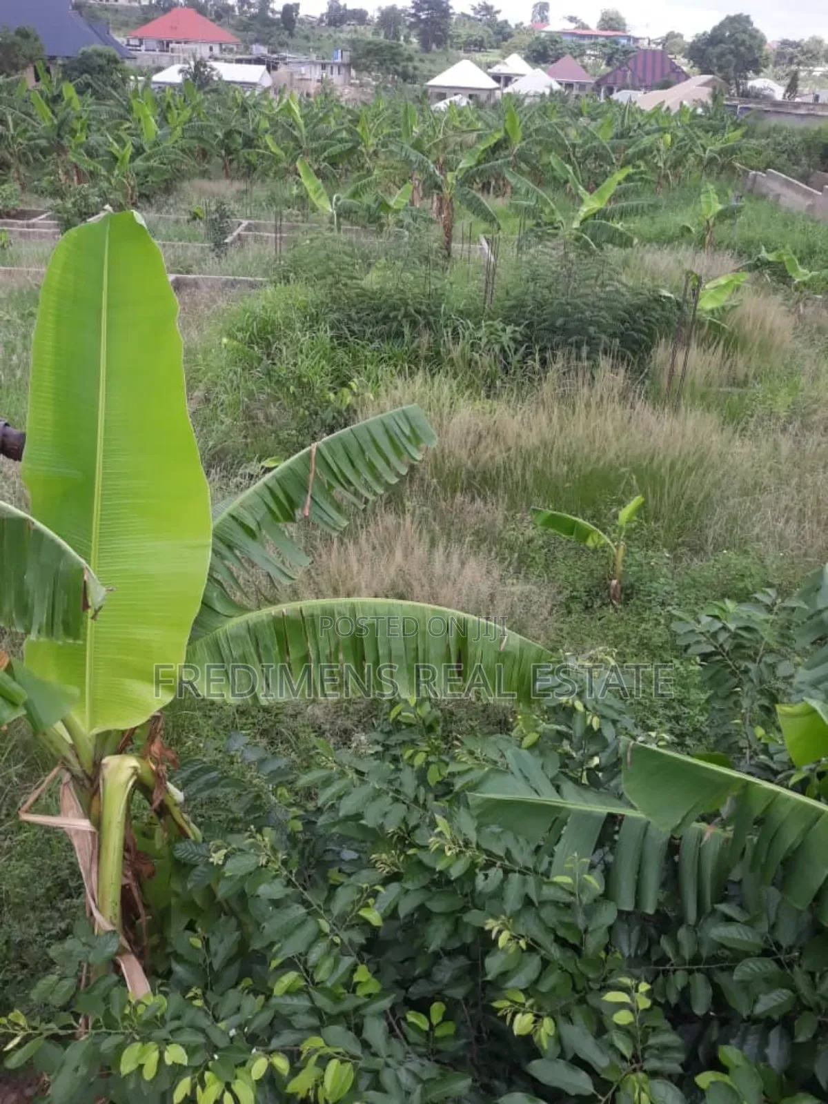 One and Half Icre Plot at Faade for Sale in Kwabre
