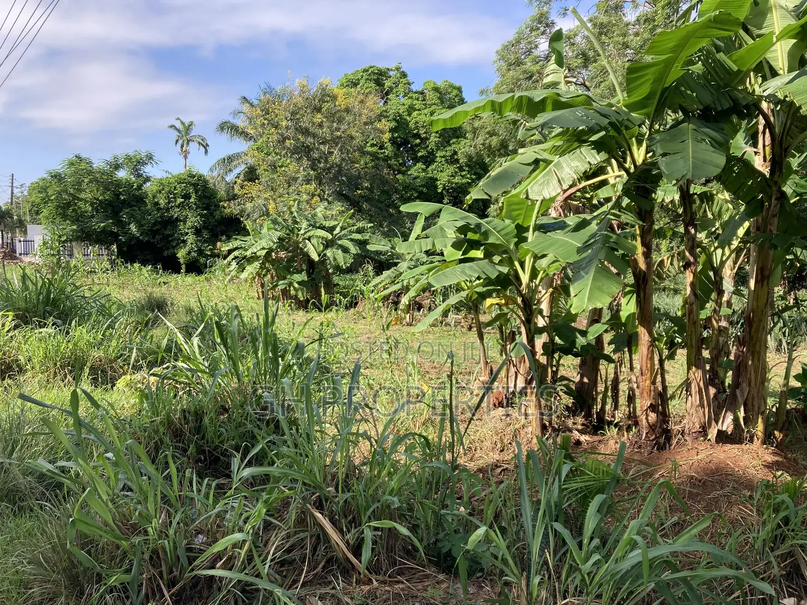 One Acre Plot for Sale at Ridge Opposite Golden Bean Hotel. in Kumasi Metropolitan