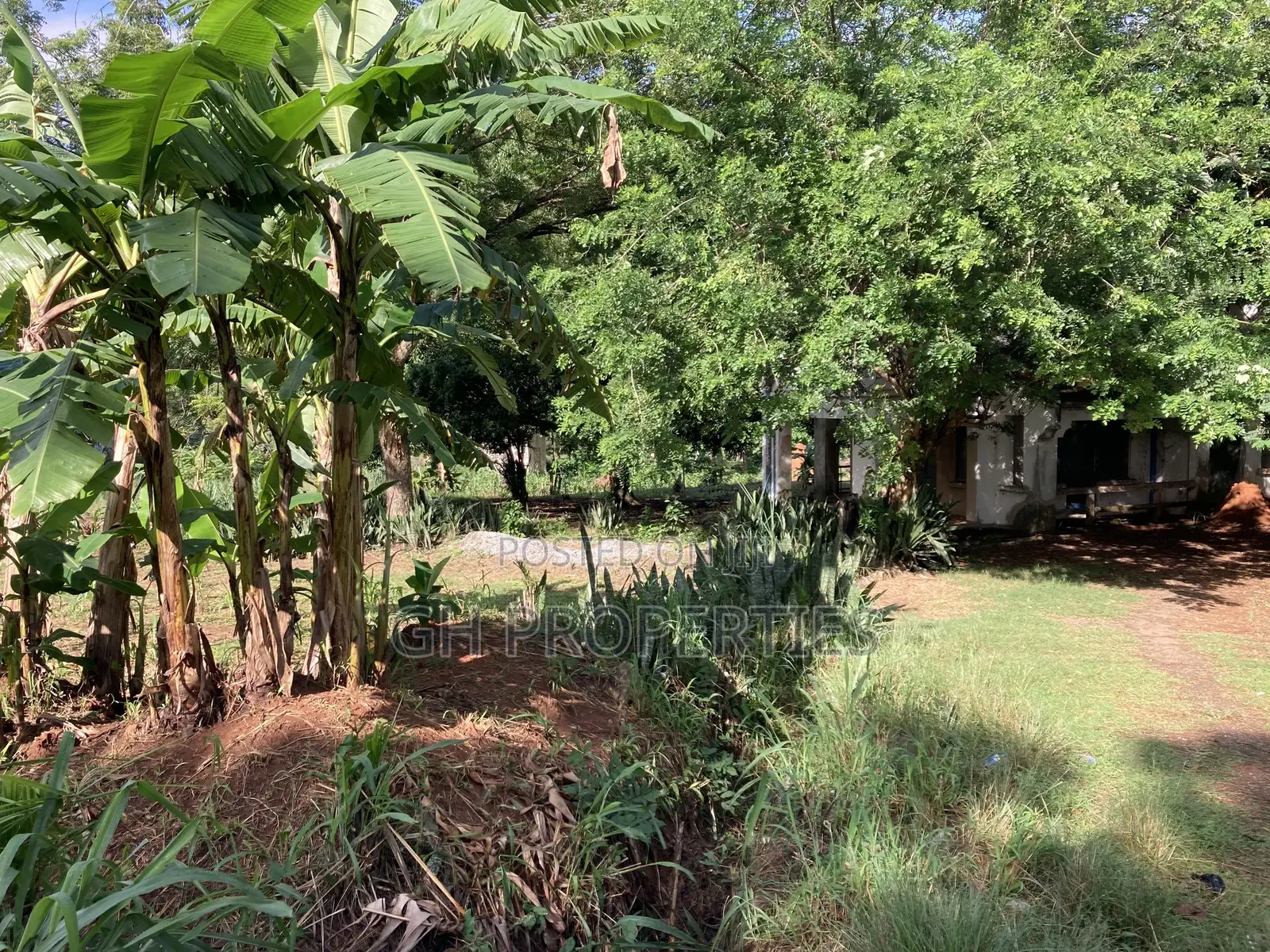 One Acre Plot for Sale at Ridge Opposite Golden Bean Hotel. in Kumasi Metropolitan