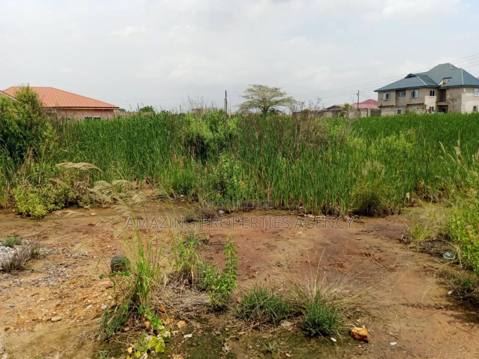3 Plots of Land at Atomic Down in Dome