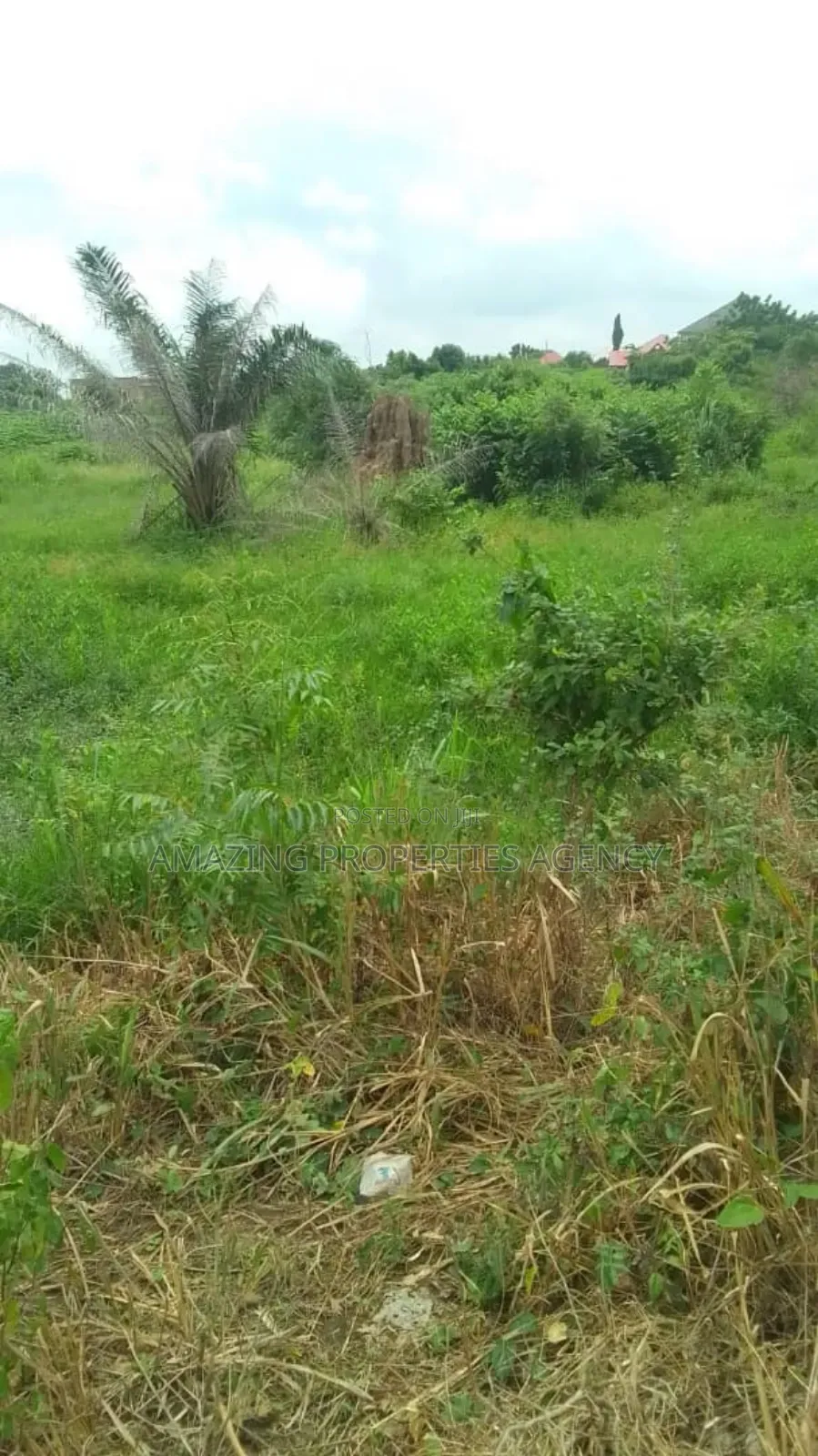 5000 Acres of Land at Asutuare in Lower Manya Krobo